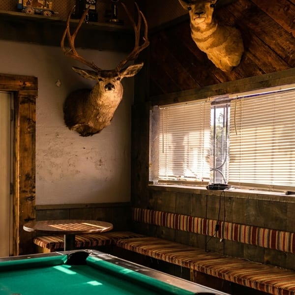 Rustic room with a pool table, mounted deer heads, wooden walls, and striped bench seating.